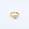 IMG_9677.jpg